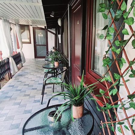 Pensiunea Red Rose Apartments Тимишоара Экстерьер фото