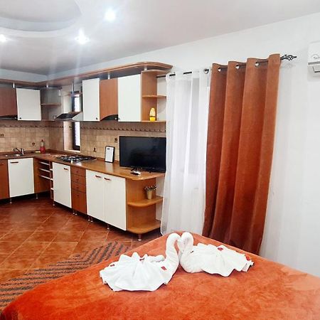 Pensiunea Red Rose Apartments Тимишоара Экстерьер фото