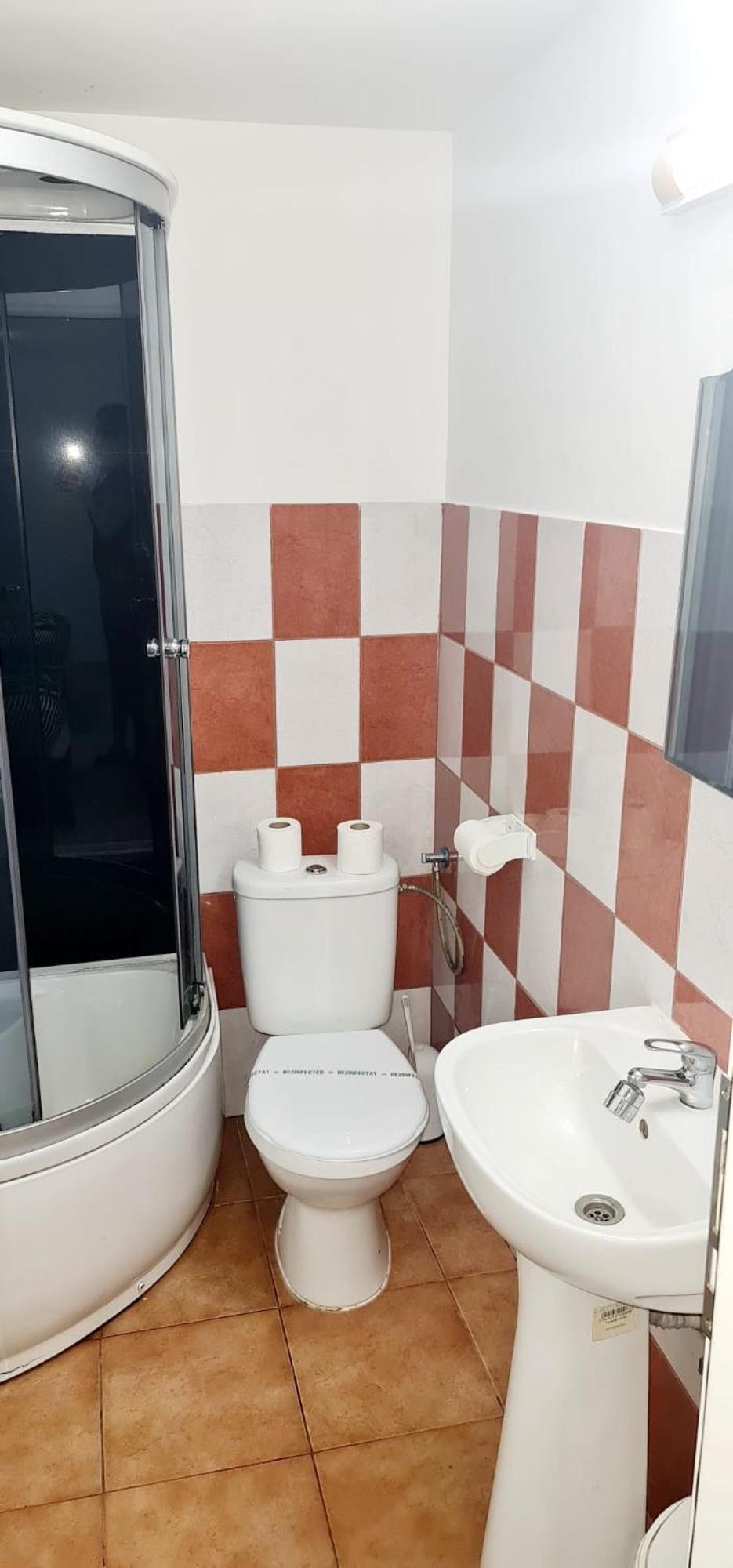 Pensiunea Red Rose Apartments Тимишоара Экстерьер фото