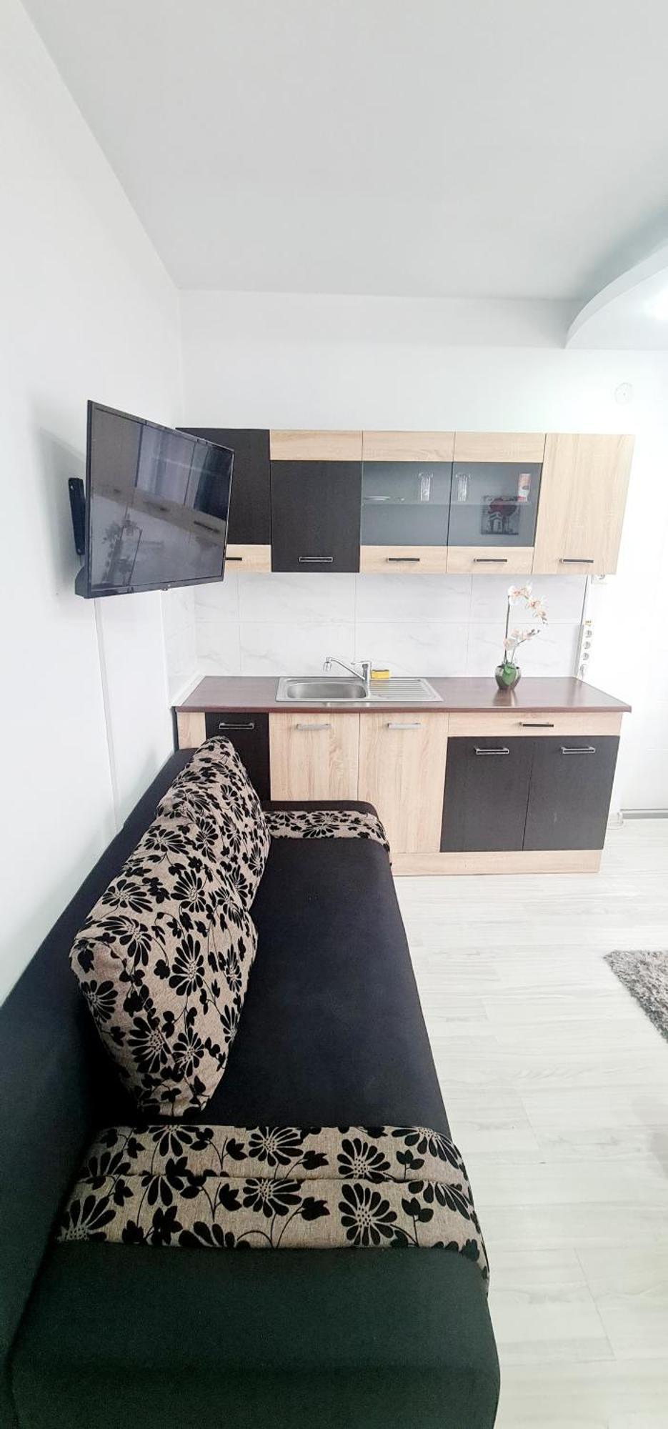 Pensiunea Red Rose Apartments Тимишоара Экстерьер фото