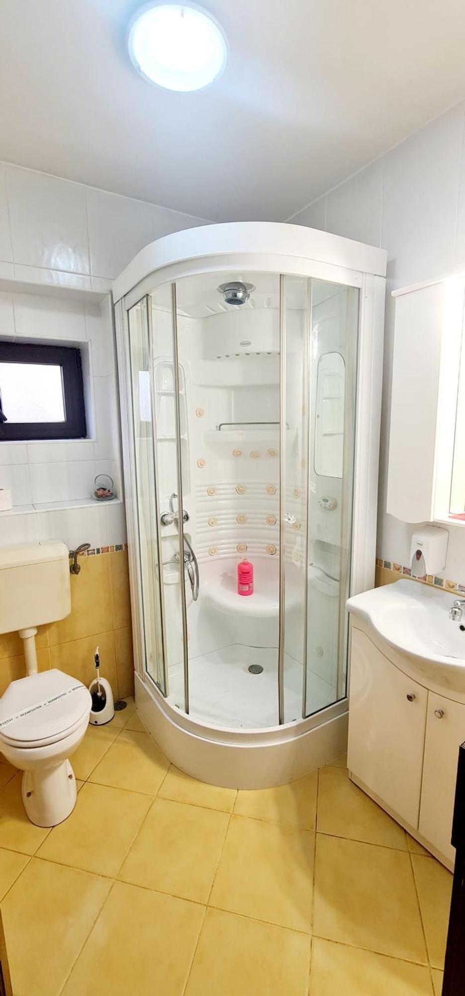 Pensiunea Red Rose Apartments Тимишоара Экстерьер фото