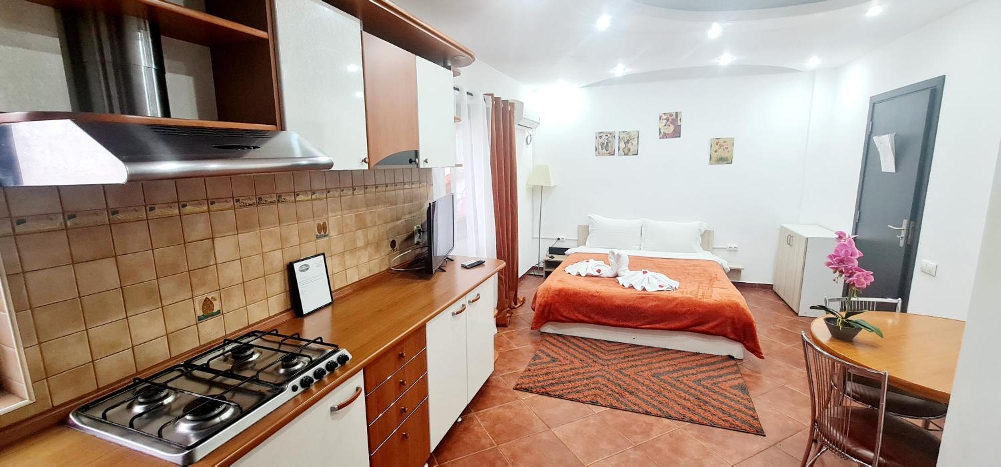 Pensiunea Red Rose Apartments Тимишоара Экстерьер фото