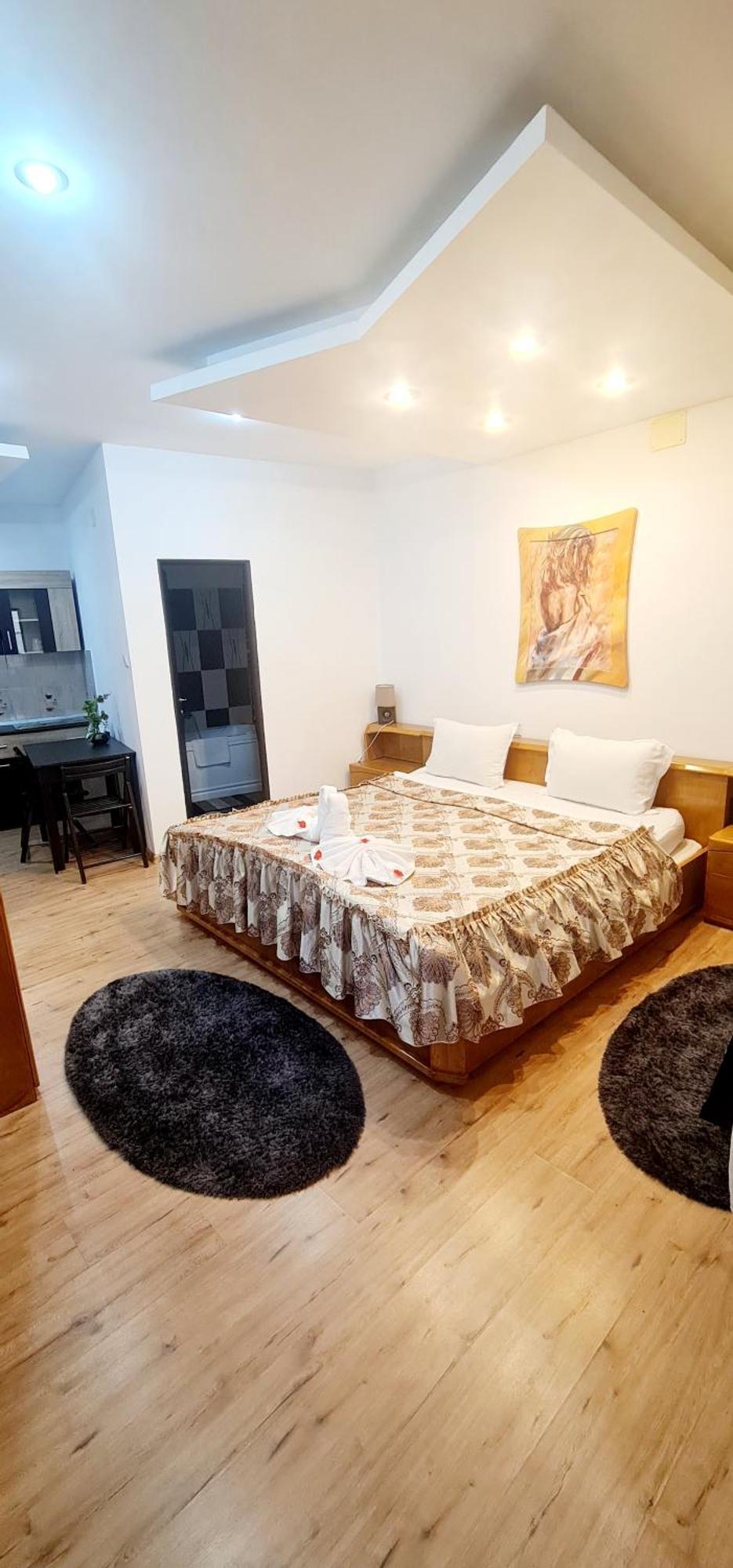 Pensiunea Red Rose Apartments Тимишоара Экстерьер фото